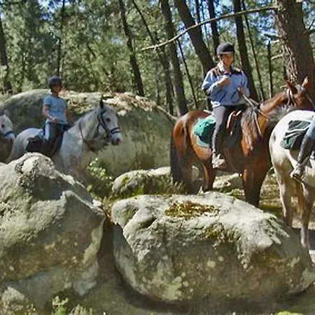 Etape Foret Fontainebleau Climb & Randonnees בית הארחה